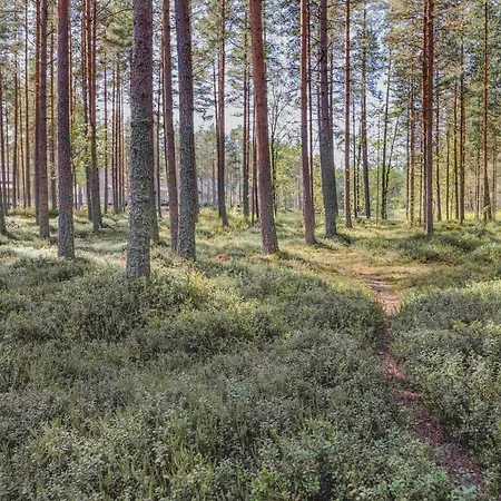 Semesterbostad Taehtisara B *